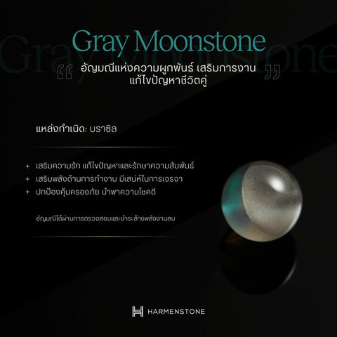 The New Scorpio - กำไลหินมงคลสำหรับราศีพิจิก - The New Zodiac Collection - Harmenstone Thailand