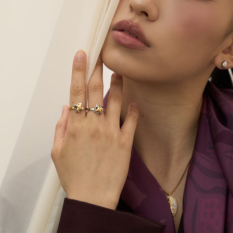 The Che Kung Miu Rings แหวนแชกงหมิวบันดาลทรัพย์