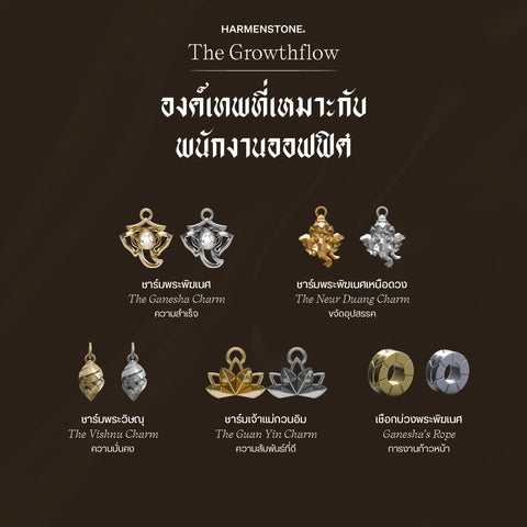 กำไลเสริมดวงอาชีพ | The Growthflow