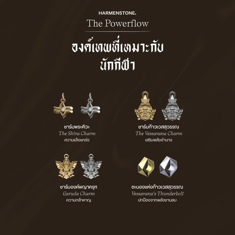กำไลเสริมดวงอาชีพ | The Powerflow