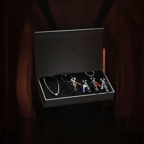 Special Domain Giftset (จำกัด 100 กล่อง)