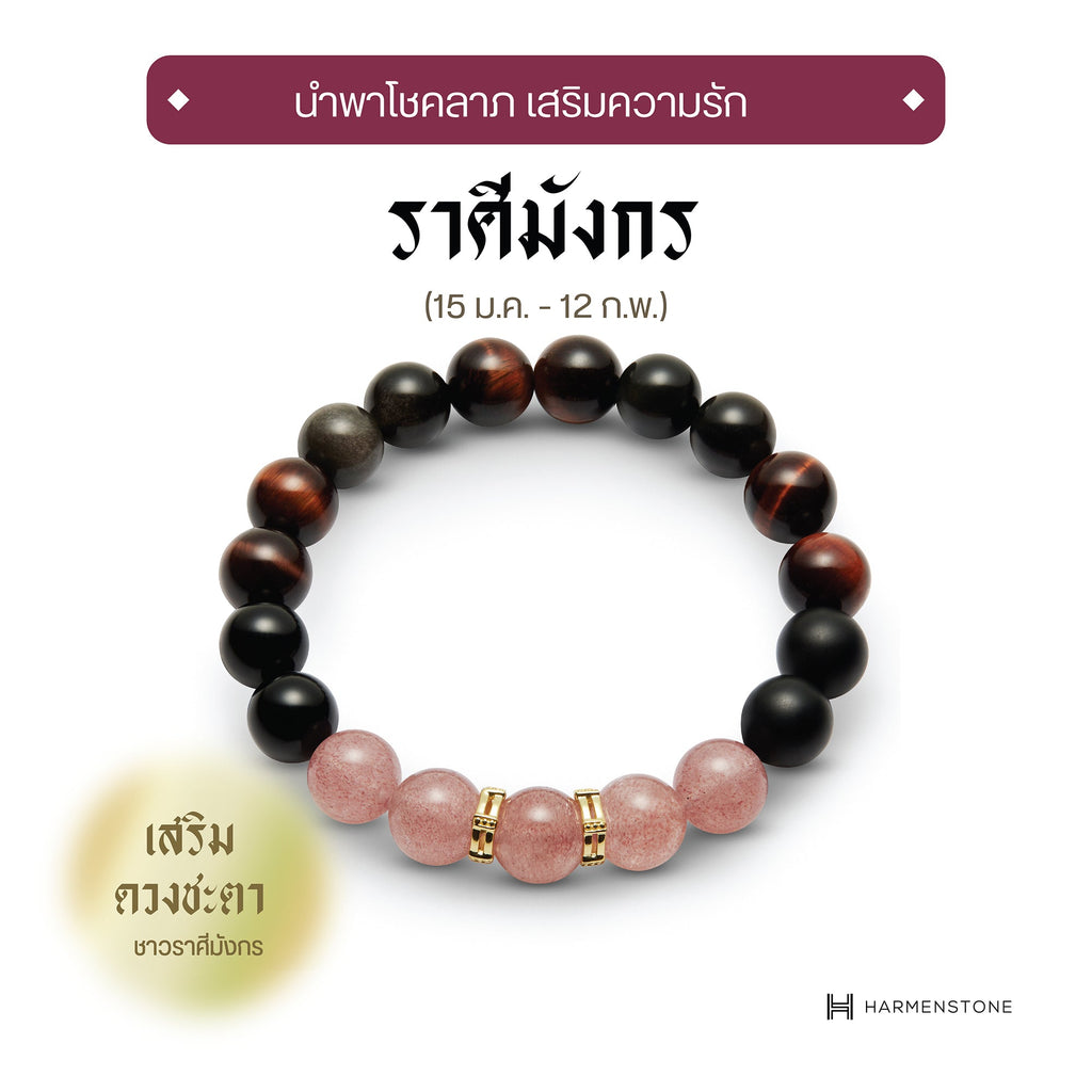 The New Capricorn - กำไลหินมงคลสำหรับราศีมังกร - The New Zodiac Collection - Harmenstone Thailand
